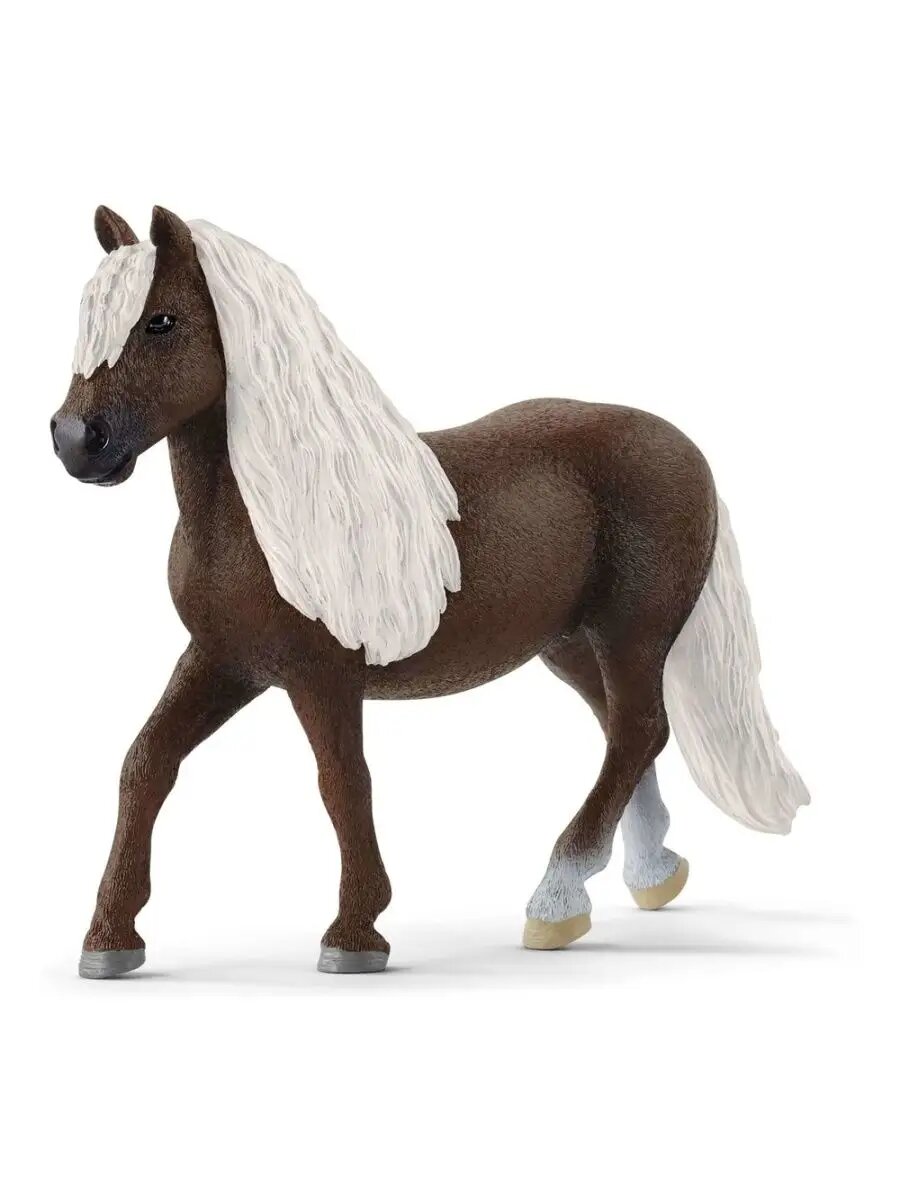 Животное Шварцвальдская кобыла