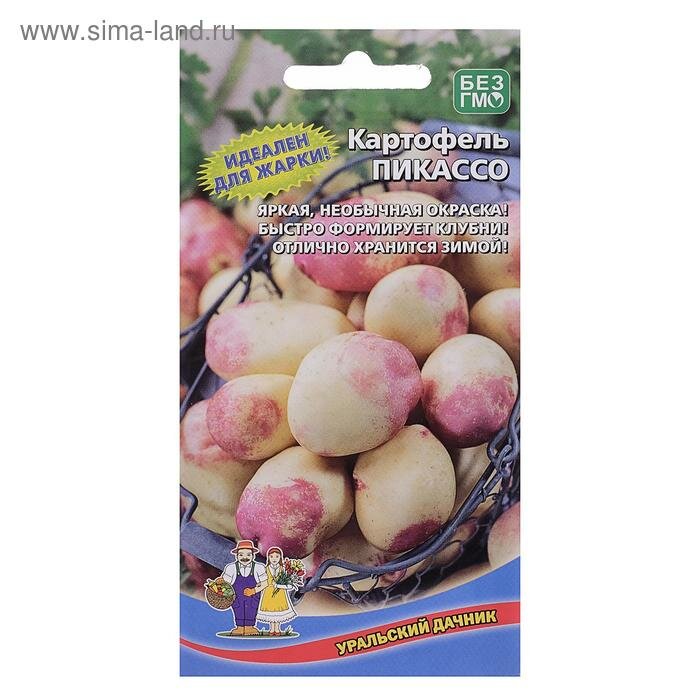 Семена Картофель 