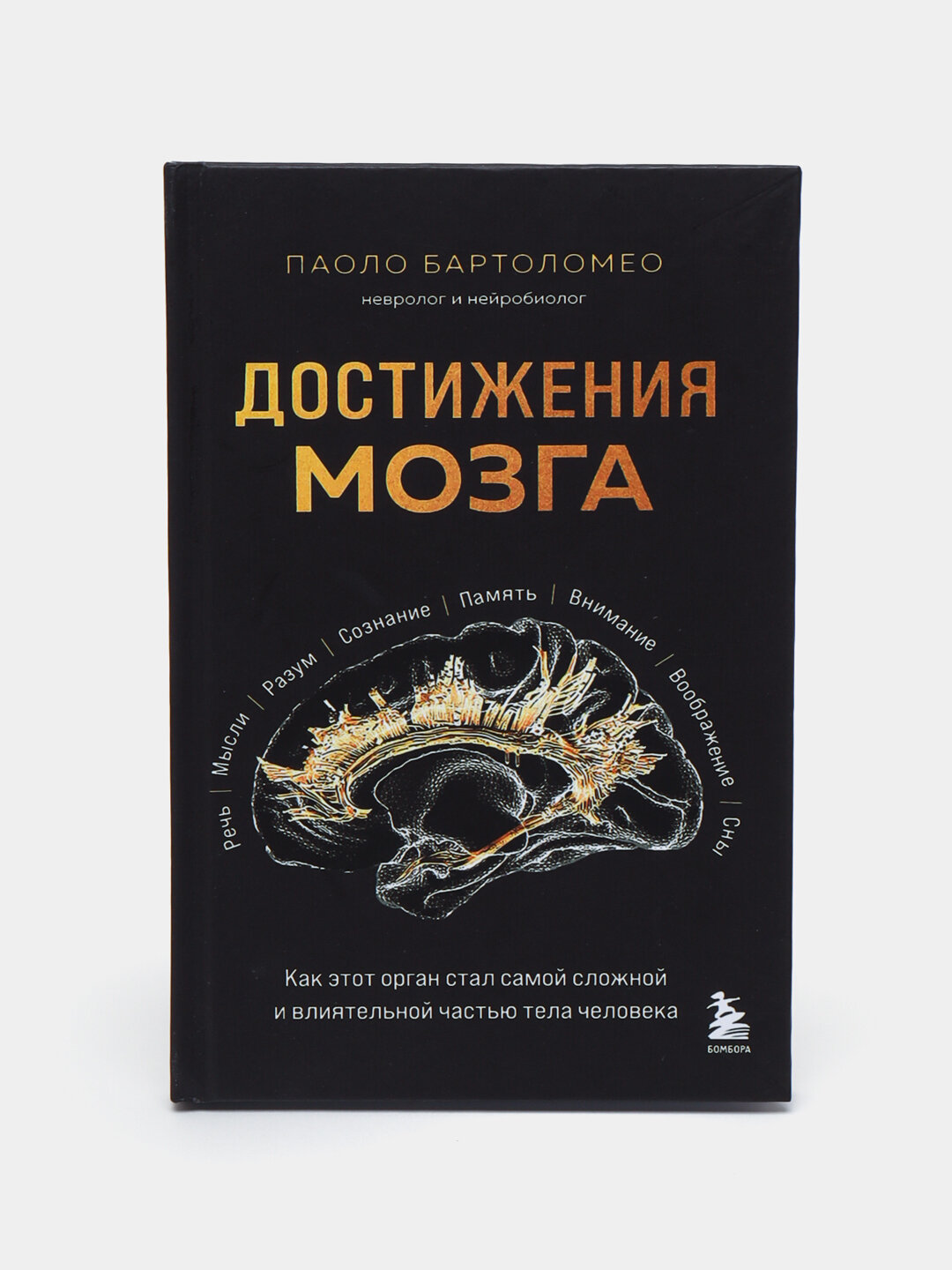Достижения мозга. Паоло Бартоломео