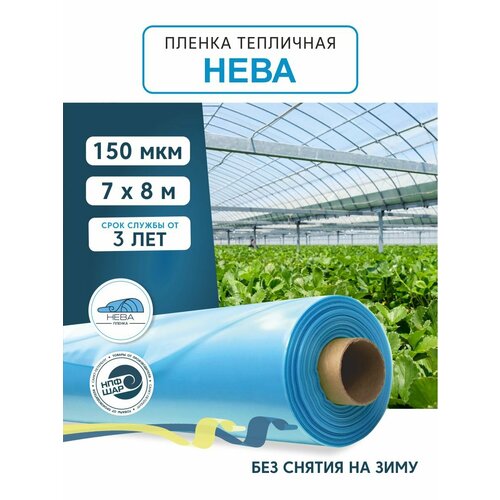 Пленка для теплиц и парников нева 150 мкм , 7х8 м, многолетняя бесцветный, прозрачный