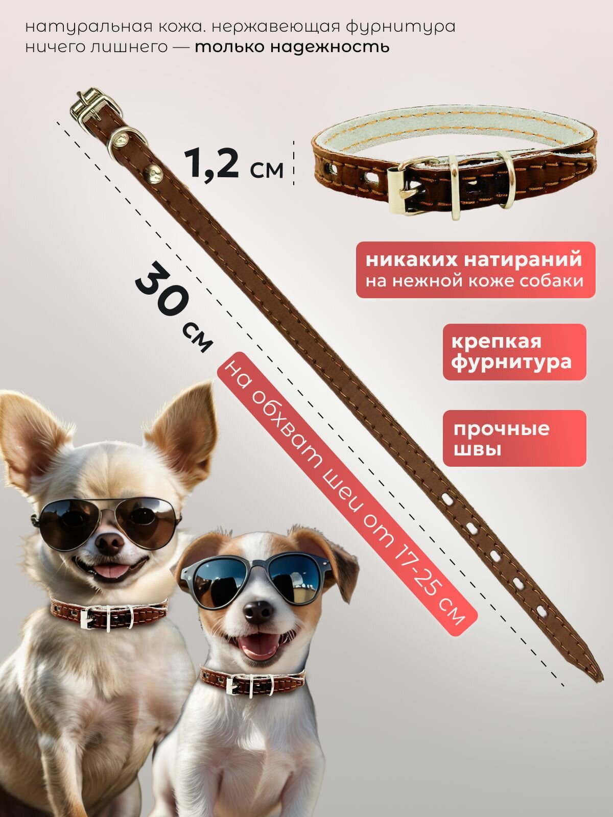 Ошейник для собак мелких пород, натуральная кожа, коричневый — фото 1