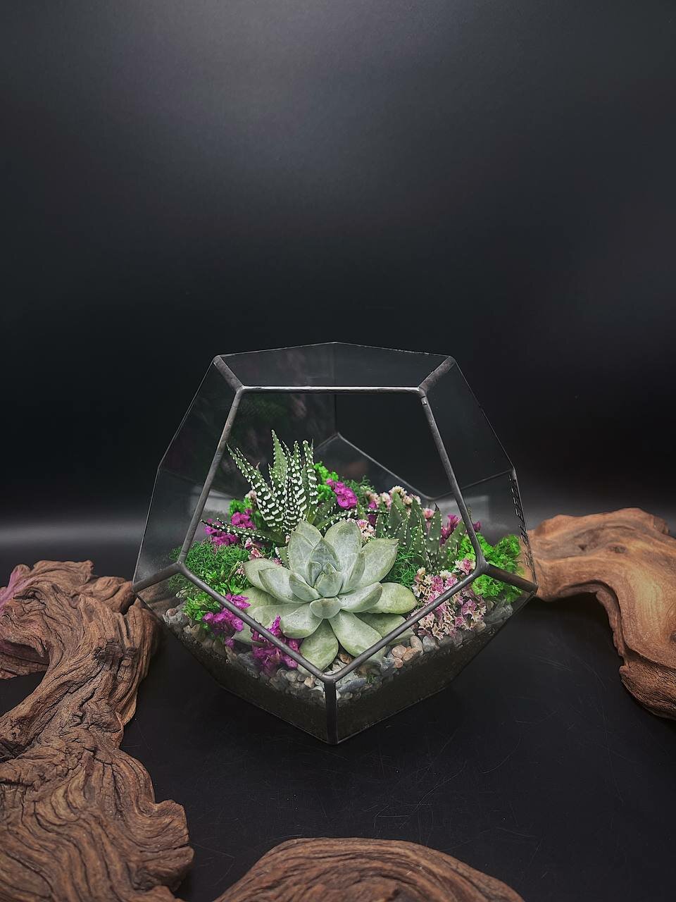 Флорариум-додекаэдр с суккулентами от Flolefor 