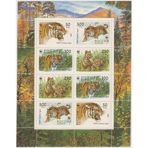 Почтовые марки Россия 1993г. Уссурийский тигр Тигры MNH марка с новым годом 1993 г малый лист