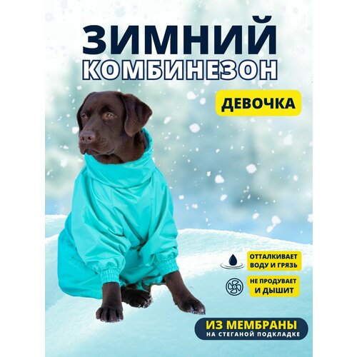 Комбинезон зимний для собак крупных пород SNOW, 70ж (сука), зеленый, 7XL