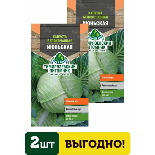 Семена капуста б/к Июньская ранняя 0,5г 2 упаковки семена капуста б к июньская ранняя 0 5г