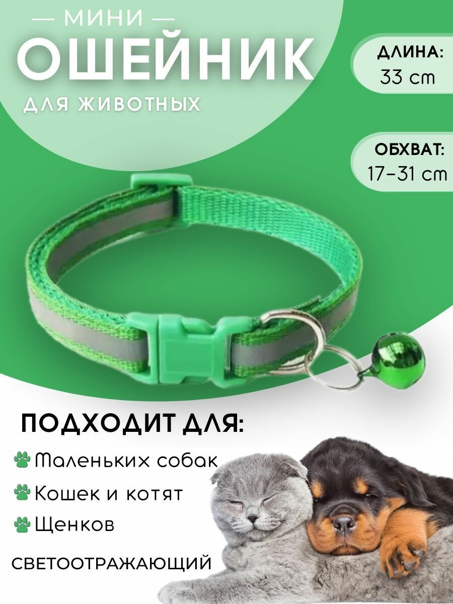 фото Ошейник для собак и для кошек, светоотражающий