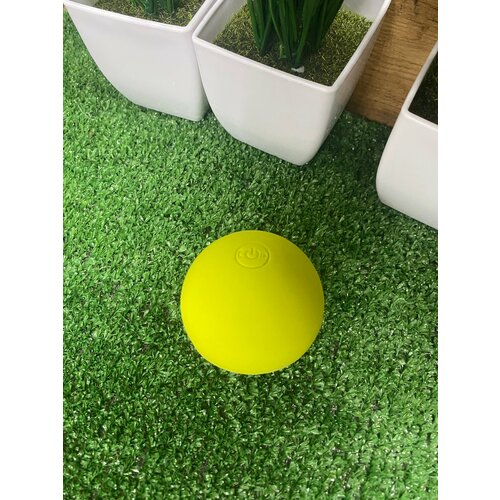 Портативная Bluetooth колонка Грибочек 99900₽