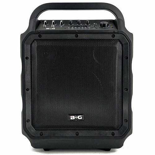 Активная акустическая система BG KPA-08WEN 2069000₽