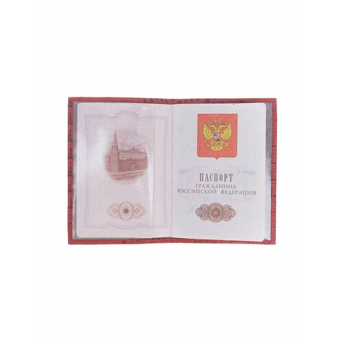 Обложка для паспорта Franchesco Mariscotti алый 576₽
