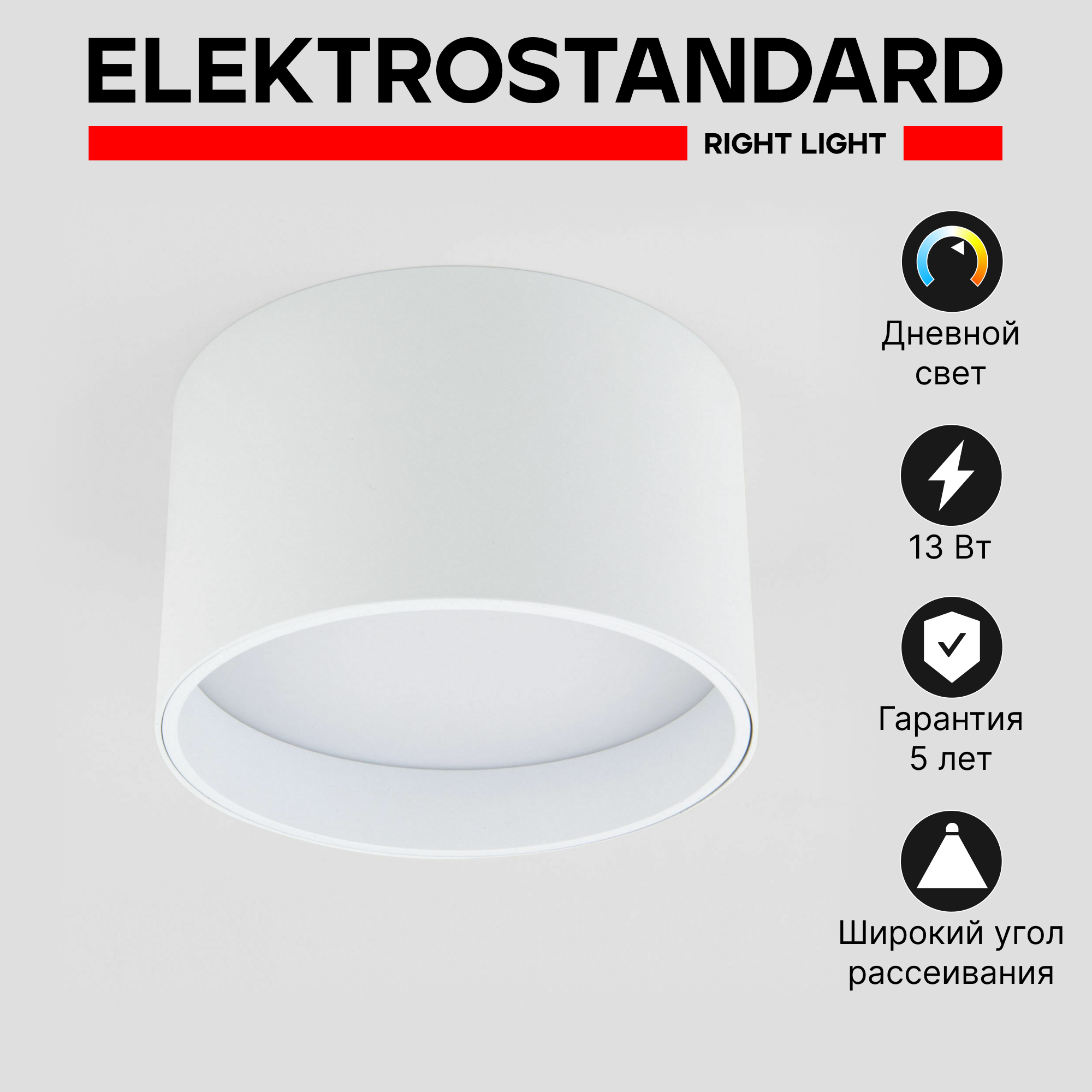 Потолочный акцентный LED светильник Elektrostandard Banti 25123/LED матовый 4200К 13 Вт - фото №1