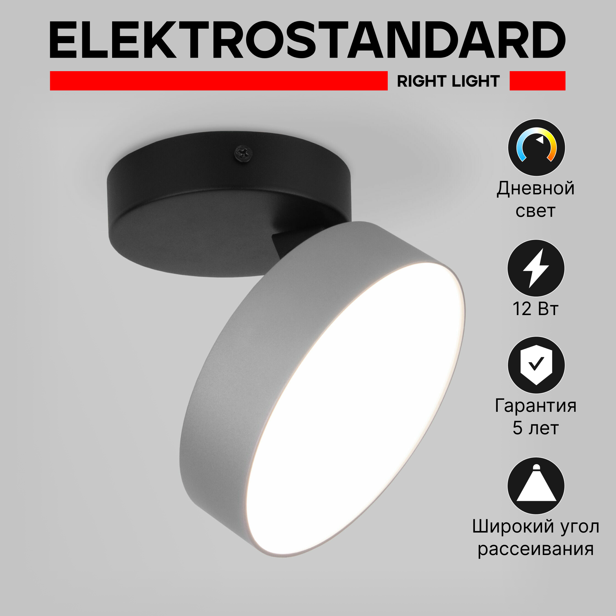 Спот / Накладной светодиодный светильник с поворотным плафоном Elektrostandard Pila 25135/LED, 12 Вт, 4200К, цвет серебро