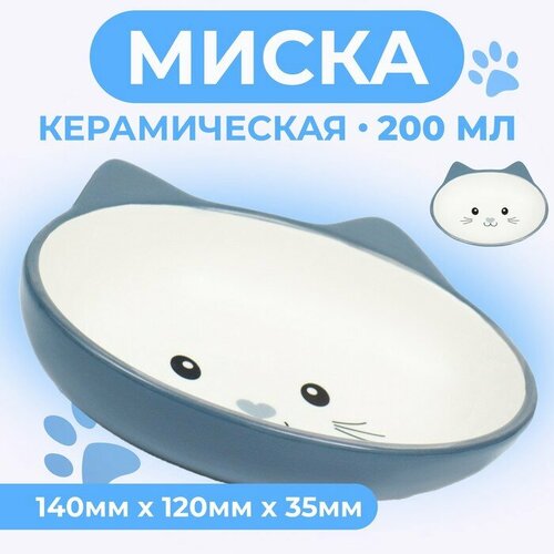 миска керамическая овальная кошачья мордочка 14 х 12 х 3 5 см 200 мл синяя Миска керамическая овальная «Кошачья мордочка» 200 мл 14 х 12 х 3,5 см, серая