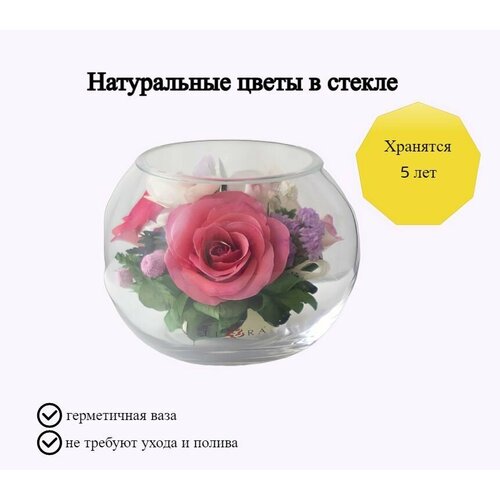 Композиция из натуральных цветов в стекле Fiora, 9.5х11.5 см