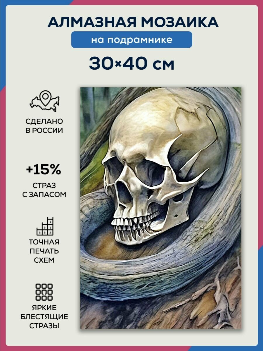 Алмазная мозаика 30x40 Череп в корнях на подрамнике