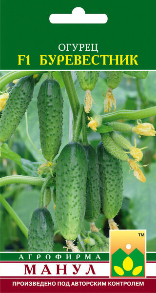 Огурцы Буревестник F1 10шт   Манул 