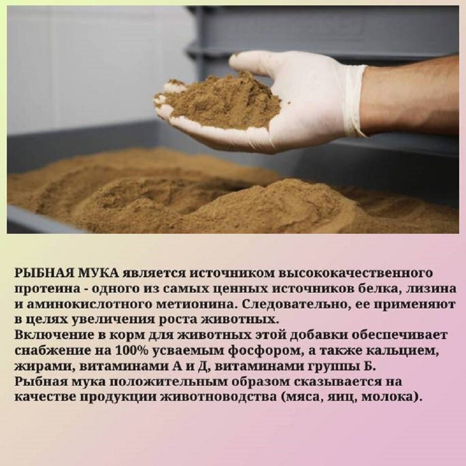Изображение Рыбная мука - удобрение для растений, кормовая добавка для с/х животных и птиц, 5 кг.