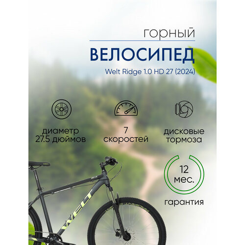 Горный велосипед Welt Ridge 10 HD 27 год 2024 цвет Серебристый ростовка 20 45989₽