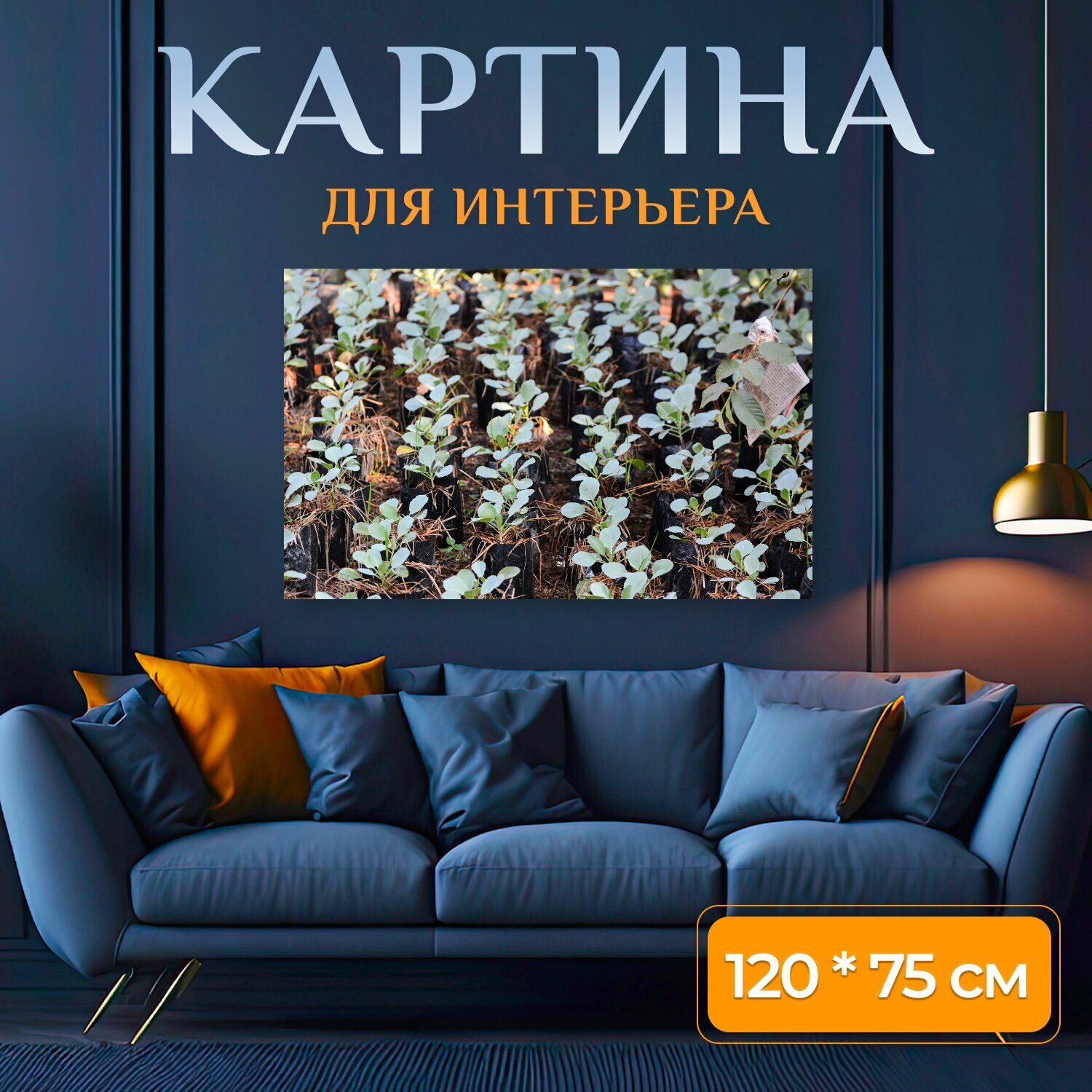 Картина на холсте "Цветы, в горшке, листья" на подрамнике 120х75 см. для интерьера