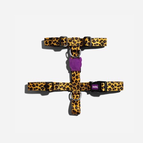 Шлейка HONEY Zee.Dog (желтый / L)