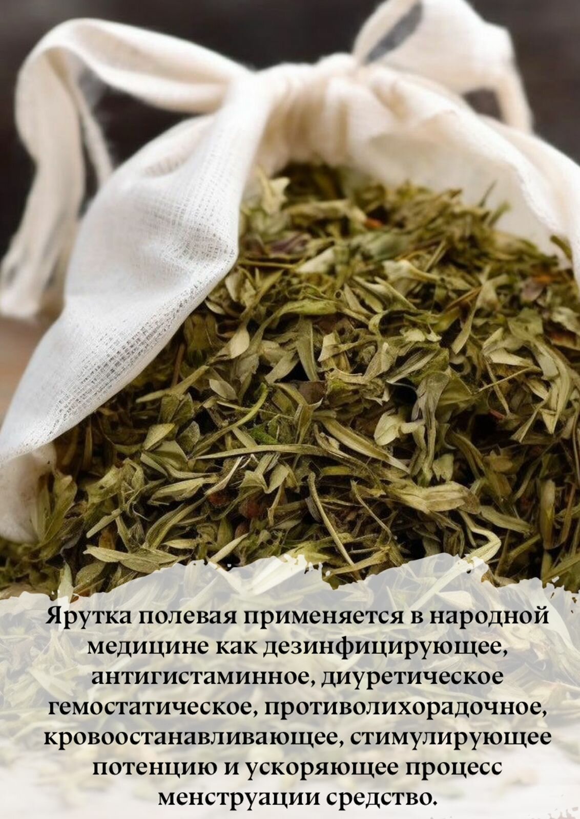 Картинки Ярутка трава сушеная, в вакуумной упаковке. Для заваривания, для настоек и настоев.