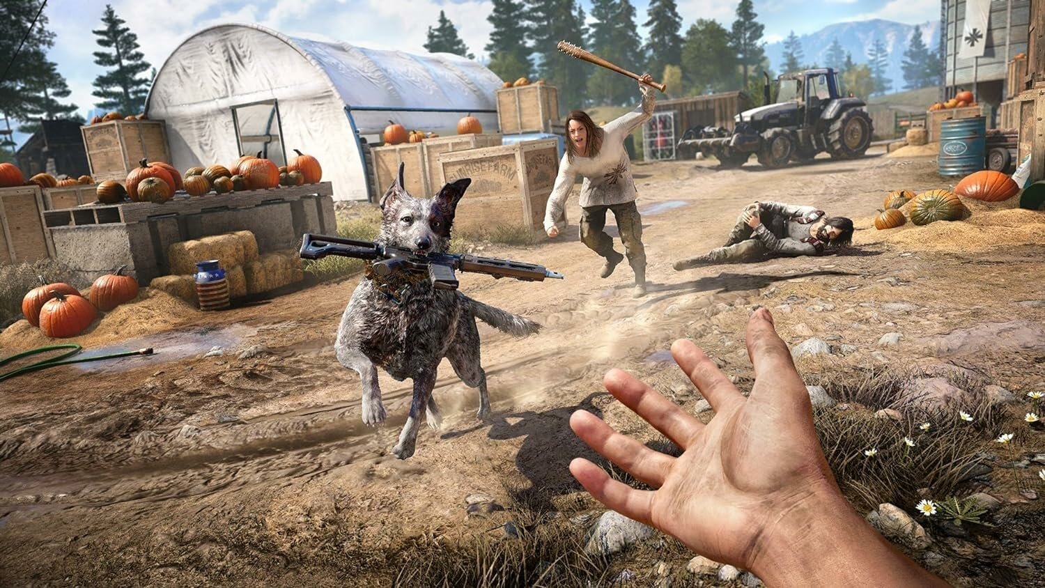 Far Cry 5 (PS4, русская версия) — фото 1