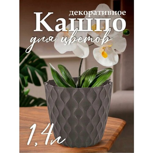 черный, коричневый