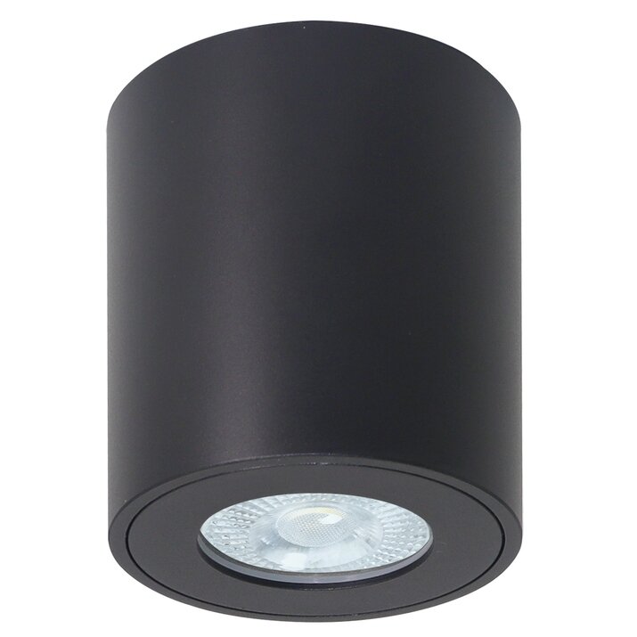 Накладной светильник для влажных помещений Arte Lamp Tino A1469PL-1BK