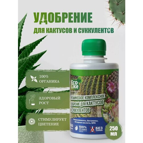 Органическое удобрение для кактусов и суккулентов концентрат