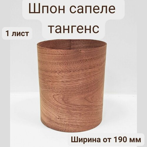 Шпон натуральный Сапеле тангенс, 1500мм, 1 лист, ширина 190мм+