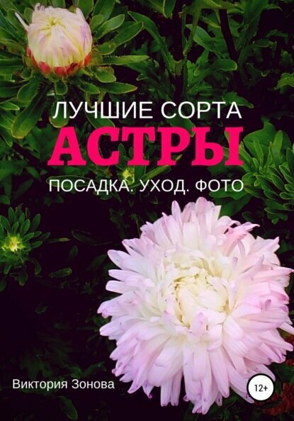 Астры. Лучшие сорта [Цифровая книга]
