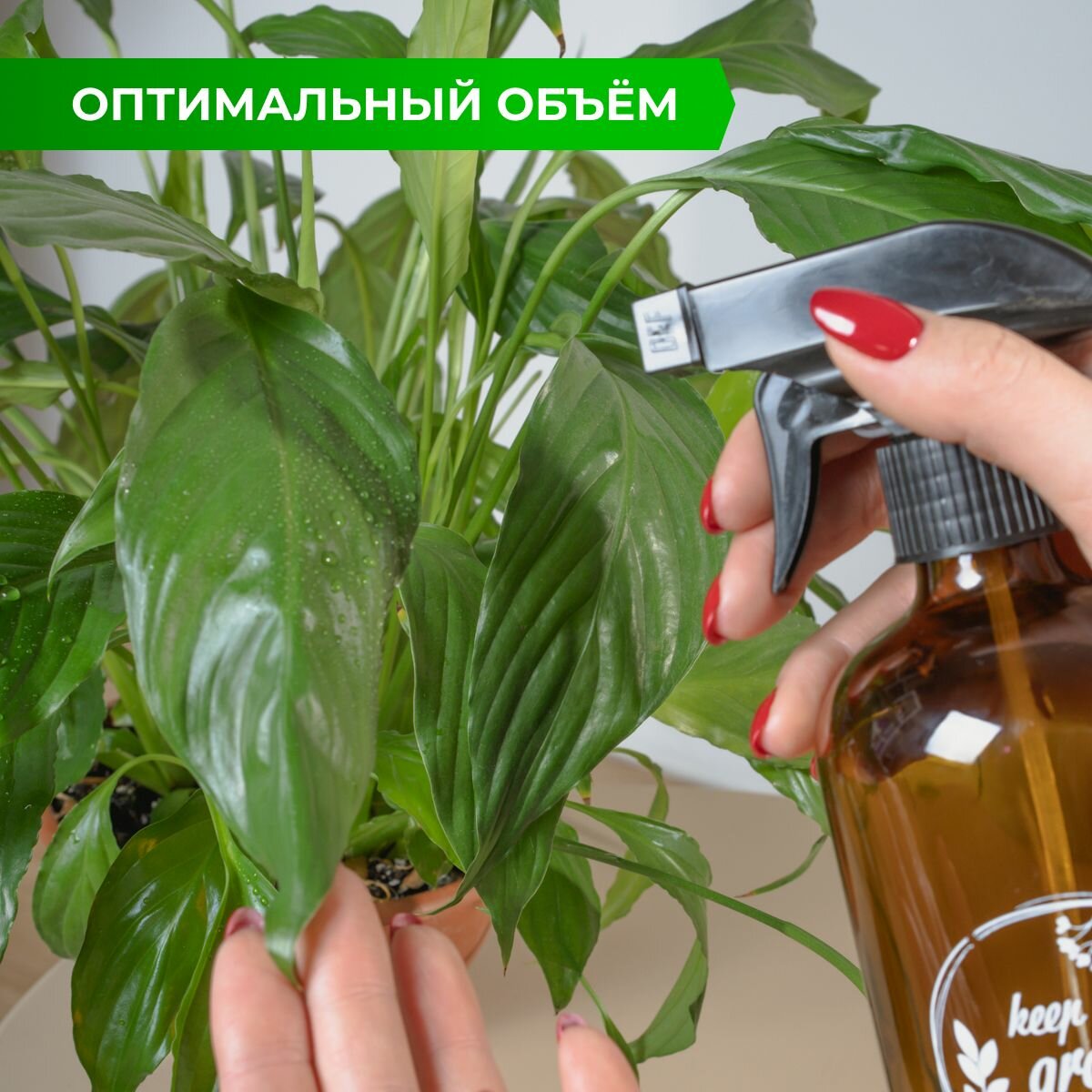 Опрыскиватели Ручные Пульверизатор для цветов стеклянный