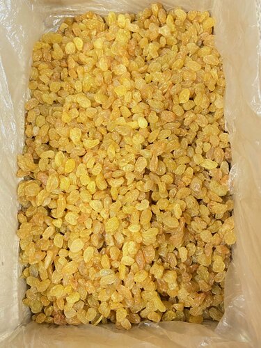 Изображение товара Изюм «Vendor Hub» Голден крупный, отборный, без косточек, Узбекистан, 5 кг.