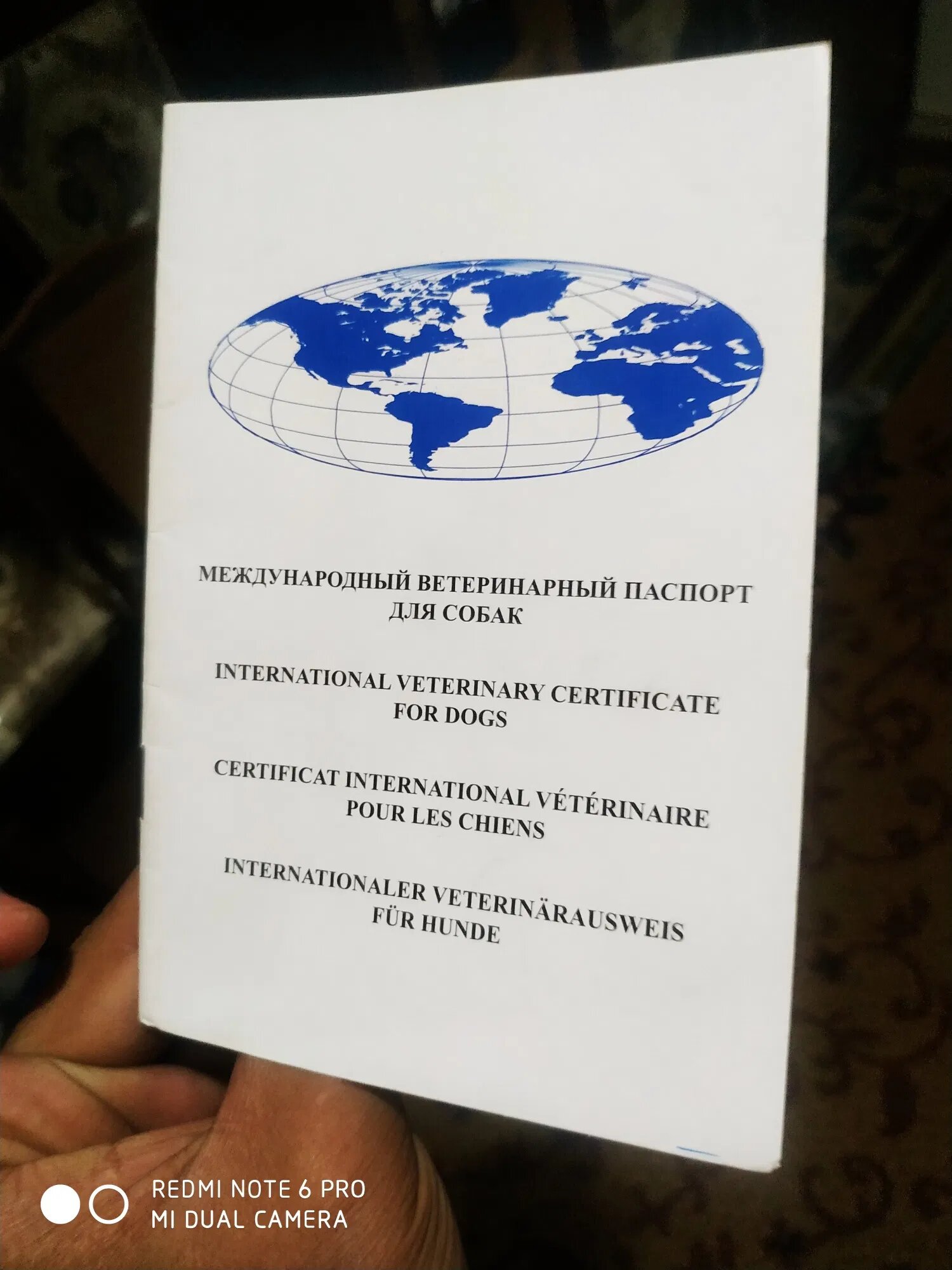 Международный ветеринарный паспорт для собак