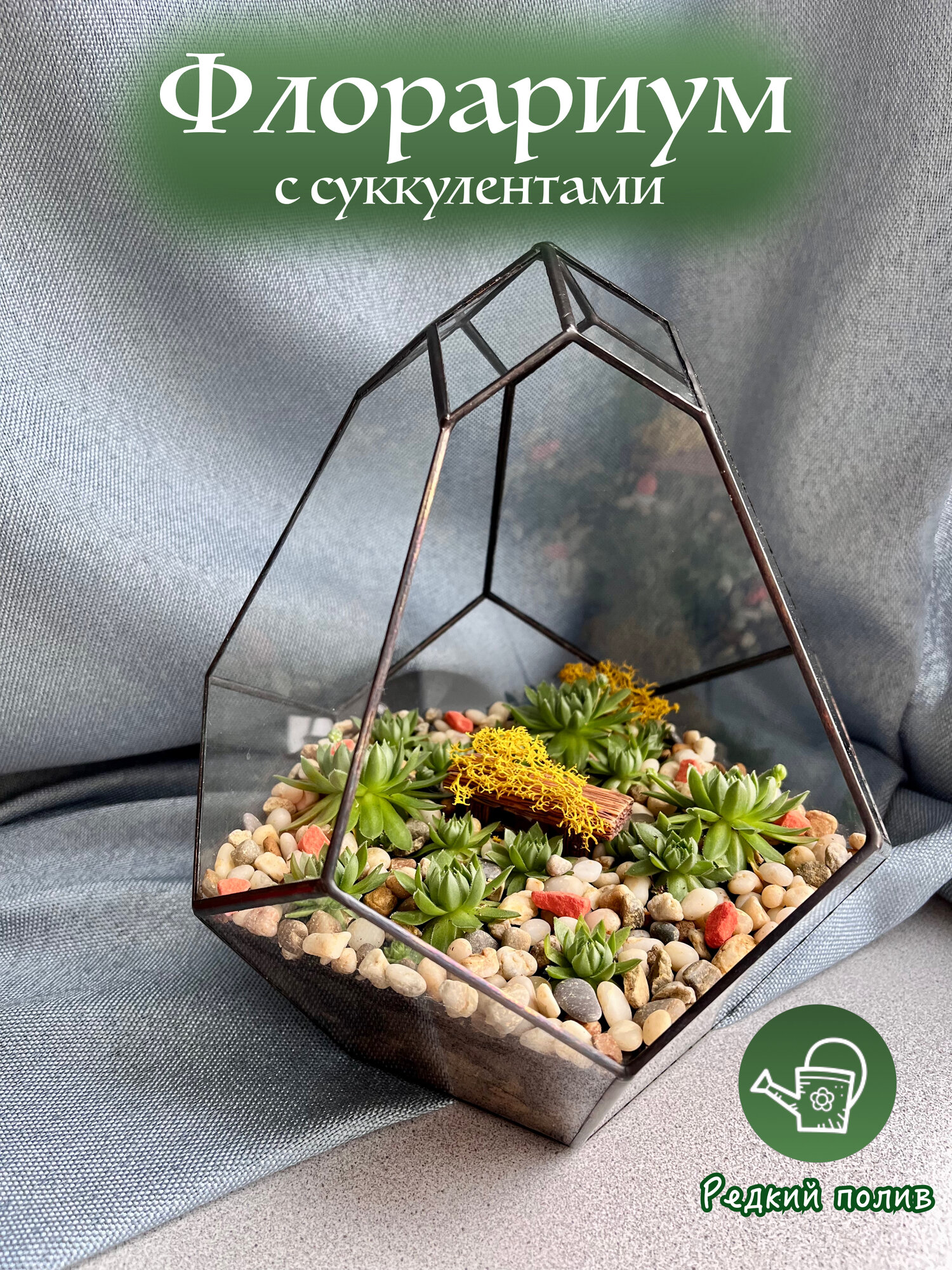 Флорариум с суккулентами Молодило высота композиции 23 см 