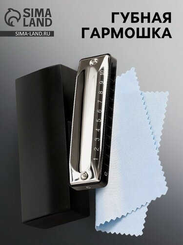 Изображение товара Губная гармошка Music Life T002 C диатоническая, 10 отверстий, с футляром