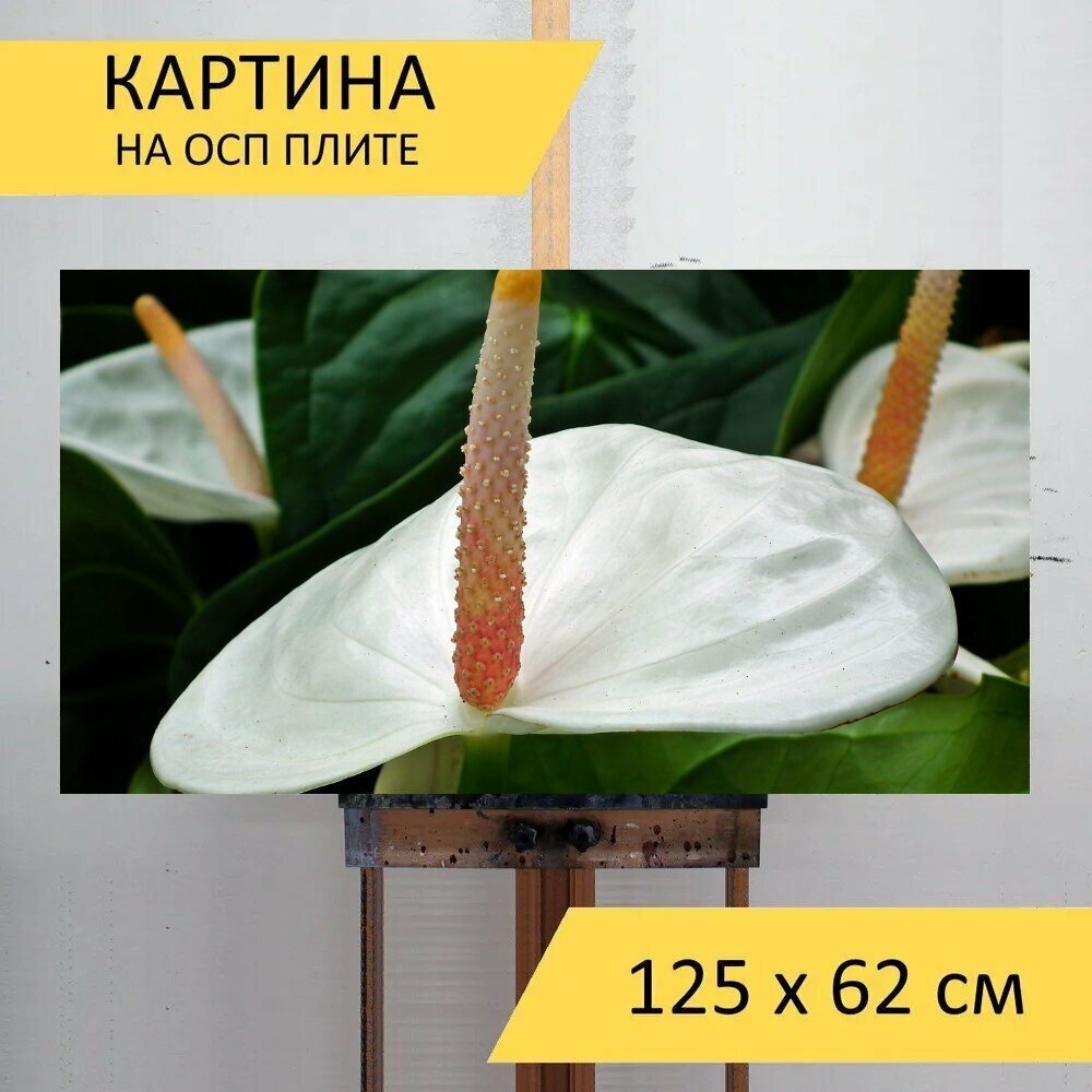 Картина на ОСП 125х62 см. 