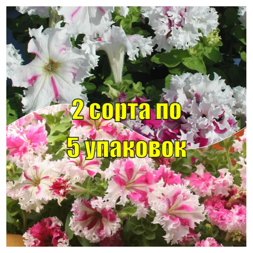 Набор семян Петуния грандифлора фимбриата Каркулка + Поздрав из Яромнерже, 2 сорта по 5 упаковок, 5 шт/уп профсемена, ручная фасовка!