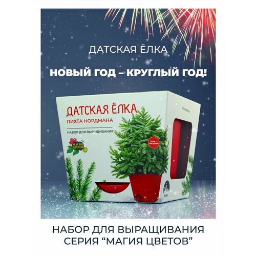 Набор для выращивания Датская Елка