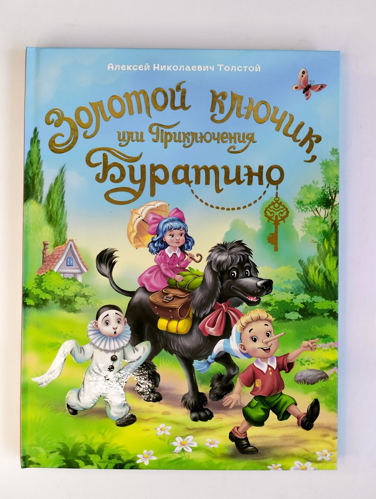 Золотой ключик, или Приключения Буратино - фото №9