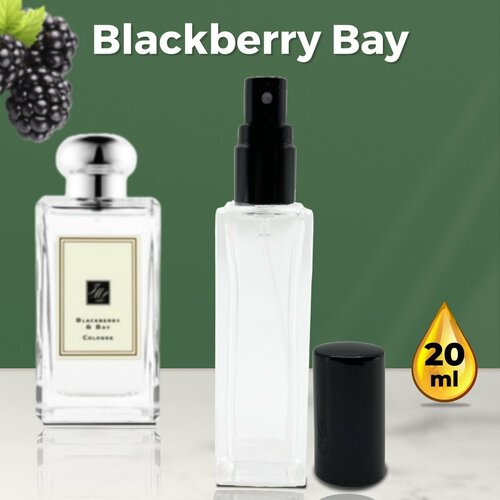 Blackberry Bay - Духи женские 20 мл + подарок 1 мл другого аромата blackberry bay духи женские 10 мл подарок 1 мл другого аромата