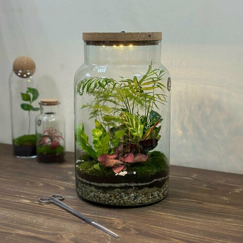 Флорариум с подсветкой от бренда Neopure 