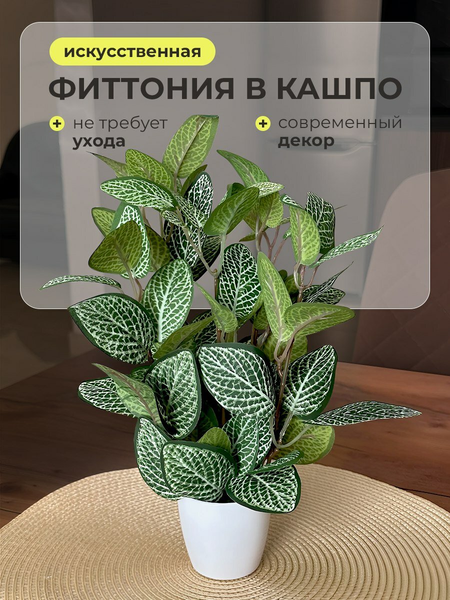 фото Искусственные цветы / Фиттония в кашпо / Новогодний декор / В подарок / Растения для дома / Высота 27см.