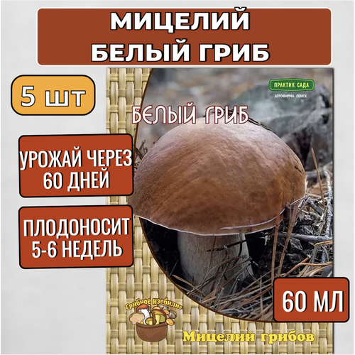 Агрохолдинг Поиск Мицелий грибов Белый гриб на компосте 60 мл, набор 5 шт