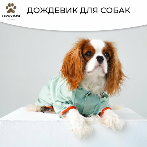 Одежда для собак, дождевик комбинезон для малых и средних пород
