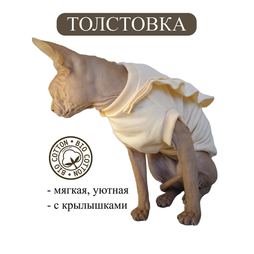 Толстовка с крылышками для кошек и собак, размер L