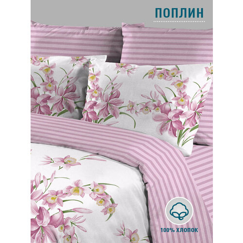 Постельное белье "Ивтекстиль Анастасия-1", поплин, евростандарт наволочки 70*70 и 50*70 серый, фиолетовый, бежевый, розовый