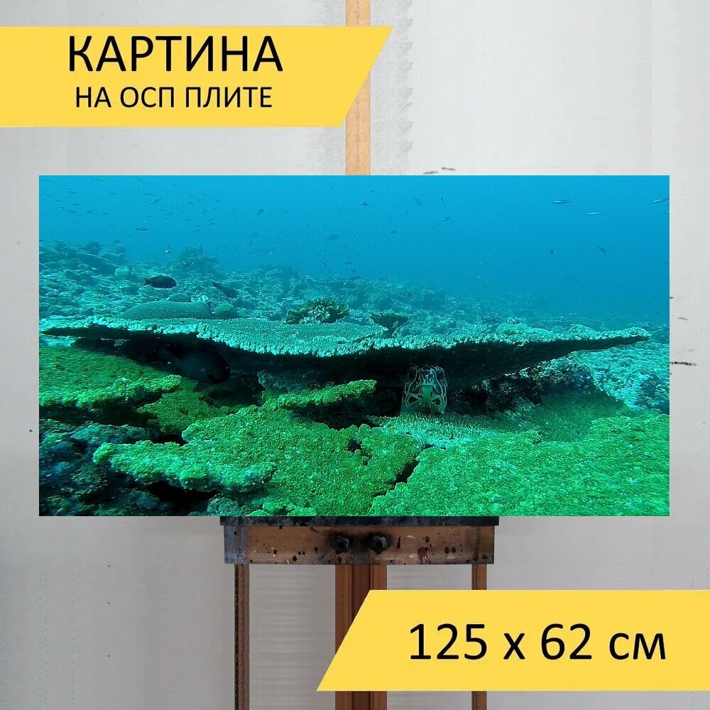 Картина на ОСП 125х62 см. "Черепаха подводный мир подводный" горизонтальная для интерьера с креплениями