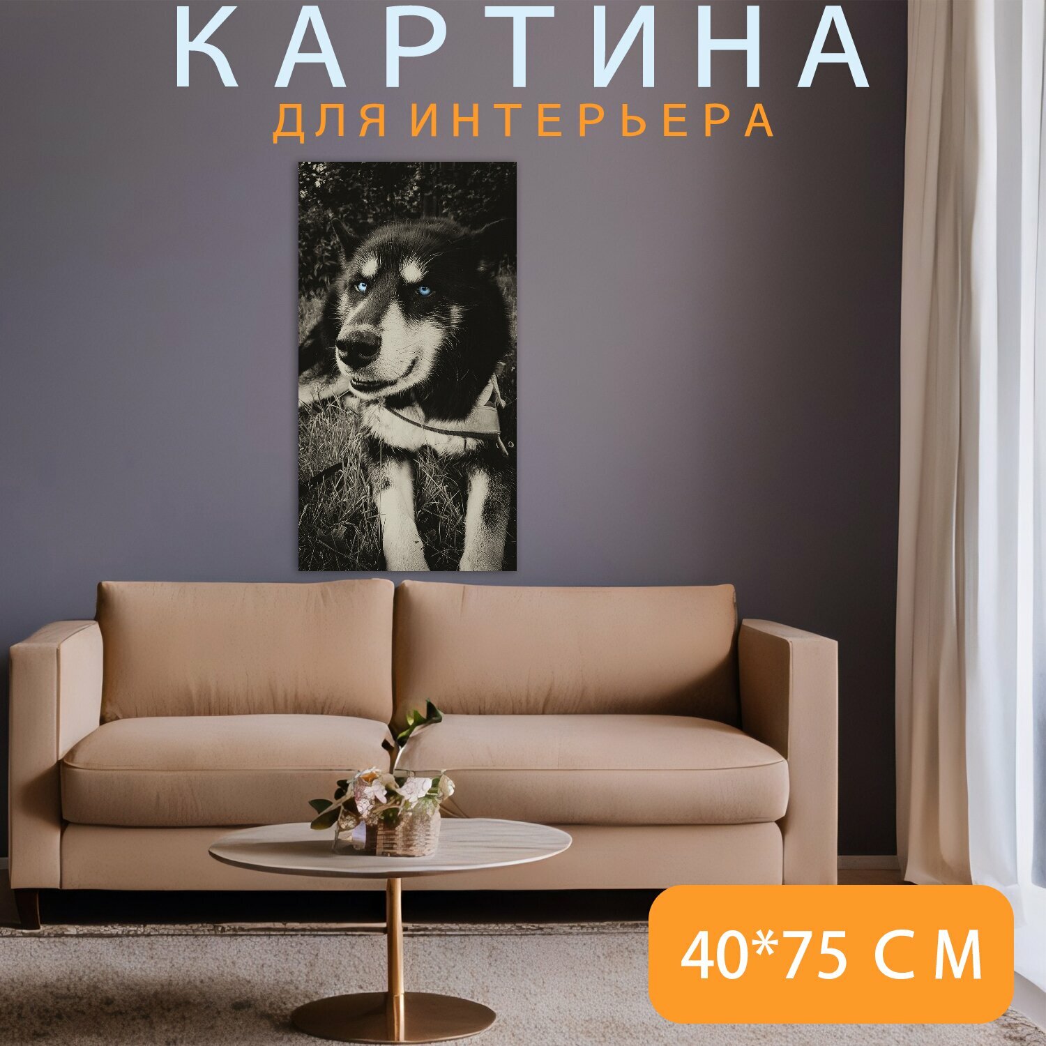 Картина на холсте "Хаски, собака, волк" на подрамнике 40х75 см. для интерьера