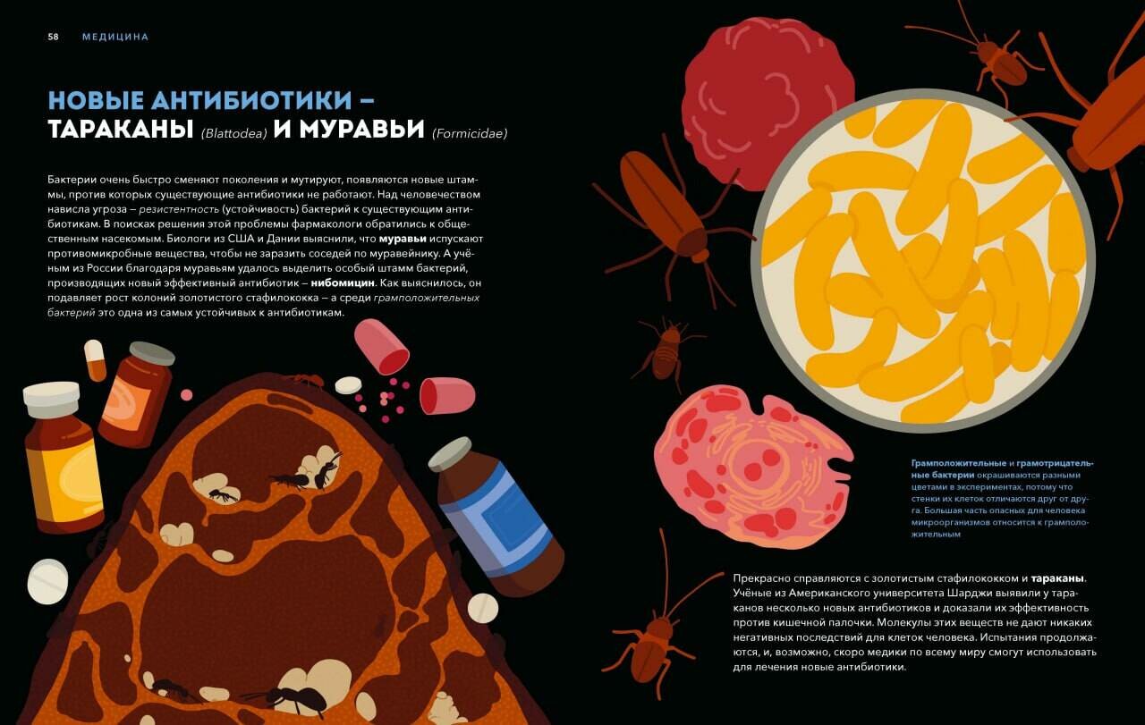 Дикие изобретения. 40 технологий, подаренных нам природой - фото №5