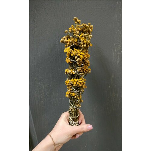 Пижма в скрутке 26 см